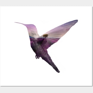 Lavender Hummingbird Posters and Art